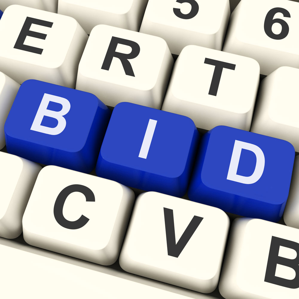 Image of Auction Bridging Finance